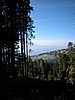 DSCN9011.JPG