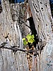 DSCN9018.JPG