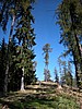 DSCN9020.JPG