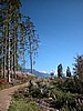 DSCN9032.JPG