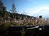 DSCN9033.JPG
