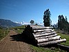 DSCN9035.JPG