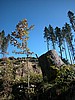DSCN9038.JPG