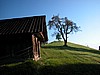 DSCN9050.JPG
