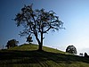 DSCN9051.JPG
