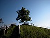 DSCN9053.JPG