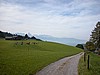 DSCN9062.JPG