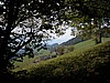 DSCN9071.JPG