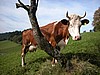 DSCN9075.JPG