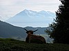 DSCN9092.JPG