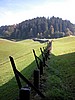 DSCN9111.JPG