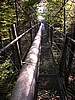 DSCN9117.JPG