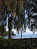DSCN9123.JPG