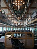 DSCN9129.JPG