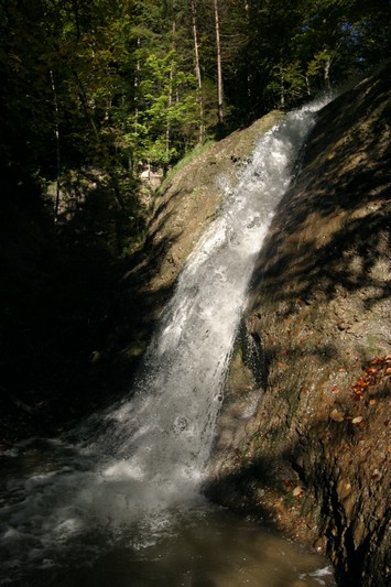 IMG_2962.JPG