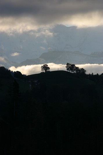 IMG_3014.JPG