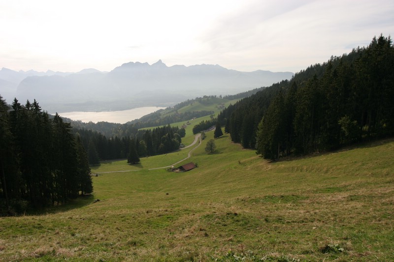 img_2614.jpg