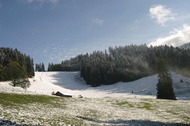 img_2745.jpg