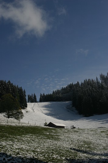 img_2746.jpg