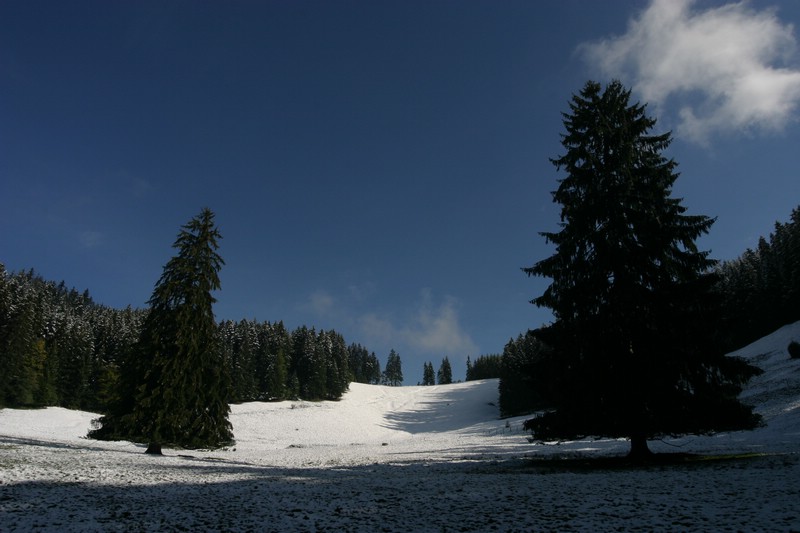 img_2748.jpg