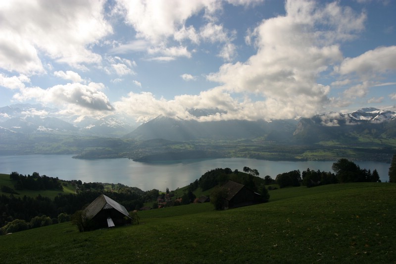 img_2774.jpg