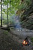 IMG_2967.JPG