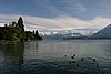 IMG_2973.JPG