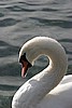 IMG_2982.JPG