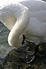 IMG_2983.JPG