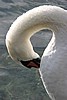 IMG_2984.JPG