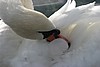 IMG_2985.JPG