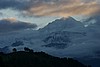 IMG_3009.JPG