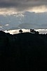 IMG_3014.JPG