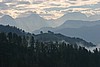 img_2416.jpg