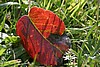 img_2473.jpg