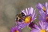 img_2484.jpg