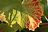 img_2487.jpg