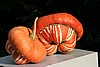 img_2497.jpg
