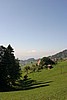 img_2517.jpg