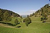 img_2519.jpg