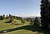 img_2520.jpg