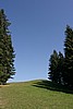 img_2521.jpg