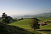 img_2530.jpg