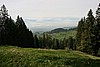 img_2612.jpg
