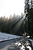 img_2747.jpg