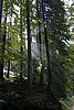 img_2753.jpg