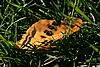 img_2792.jpg