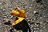 img_2807.jpg