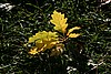 img_2815.jpg