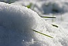 img_2923.jpg
